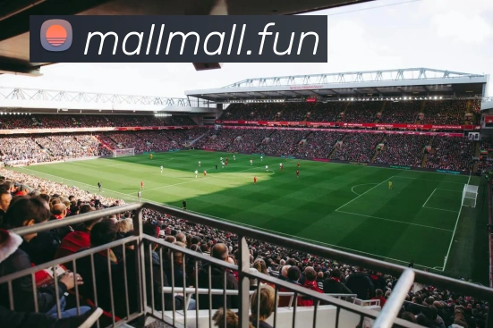 开云账号中心登录入口品牌故事